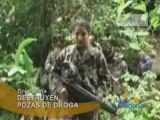 DESTRUYEN POZAS DE DROGA - TINGO MARÍA