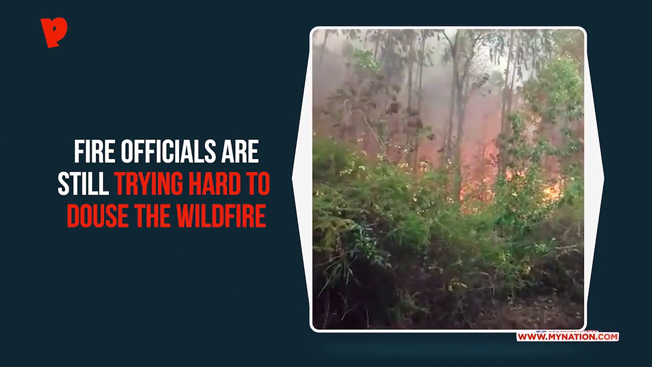 Bandipur forest fire: IAF's helicopters pressed into service
