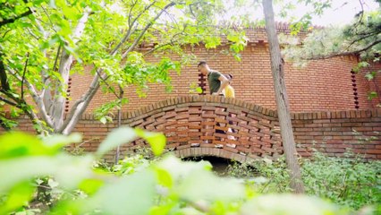 艺术中的北京  Beijing Through Art