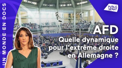 AFD : quelle dynamique pour l'extrême droite en Allemagne ?
