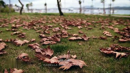 مسلسل بريق الأمل الحلقة 11 الحادية عشر