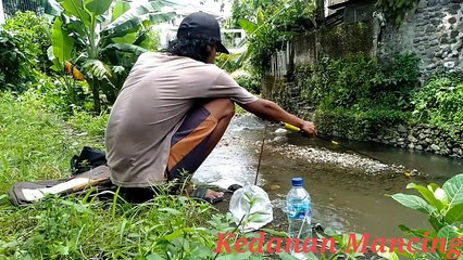 Bocah ini nekat mancing di tengah sungai,Lihat apa yang terjadi!!!