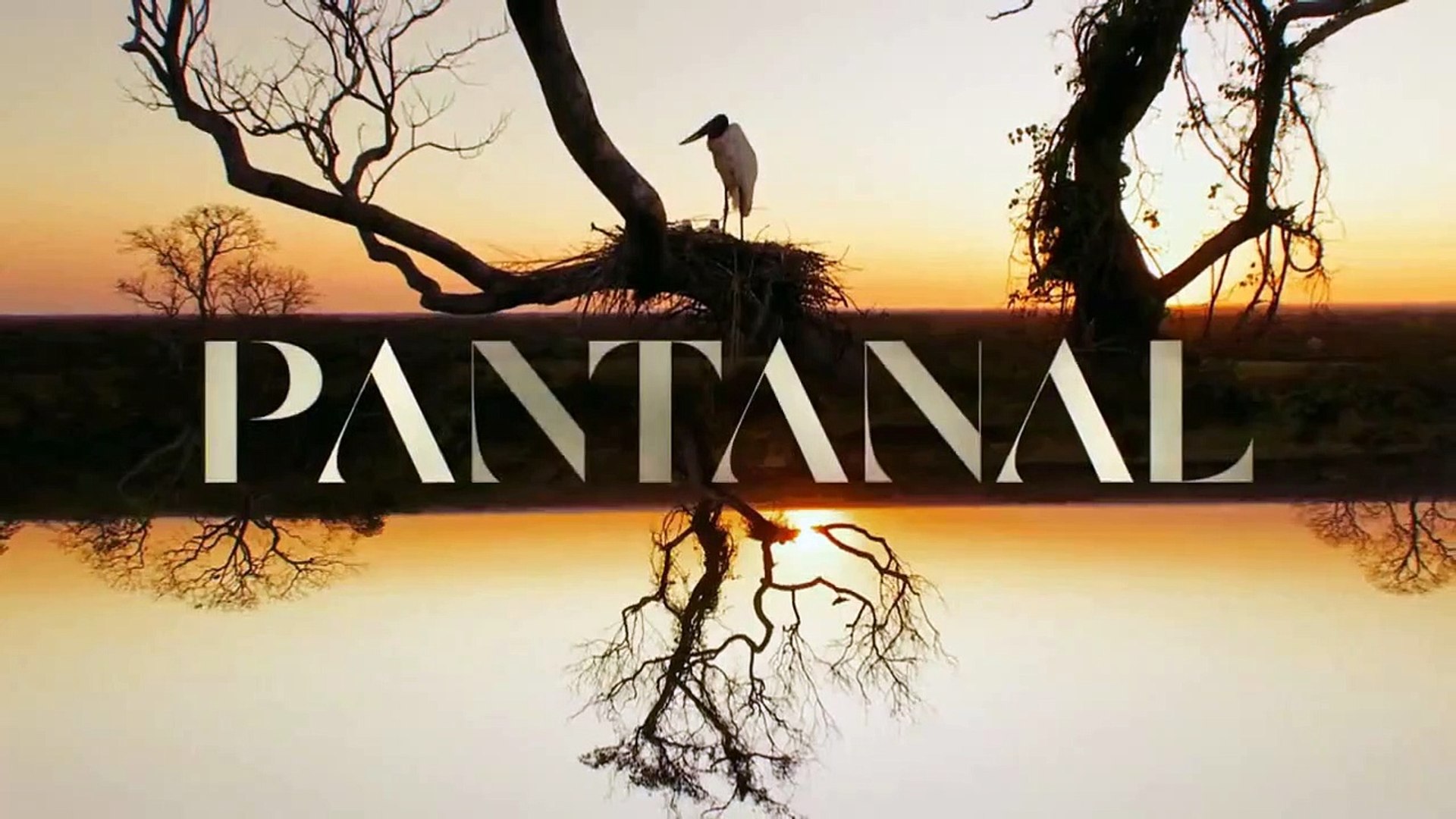 globo ao vivo agora novela pantanal ao vivo hoje jornal nacional ao vivo hoje globo no youtube ao vi