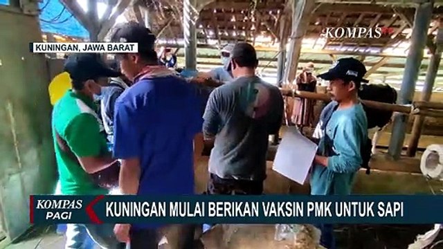 Percepatan agar Hewan Ternak Mendapatkan Vaksin Penyakit Mulut dan Kuku