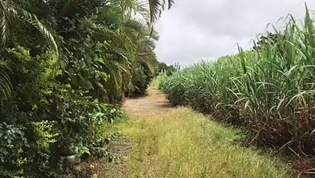 AngIN Laksamana