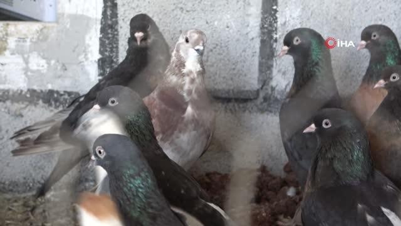 'Kadından kuşçu' olmaz görüşünü yıkarak Türkiye'nin 'kuşçu ablası' oldu