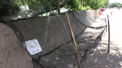 "Dutlar israf olmasın" diye kaldırıma file gerdi, görenlerin duasını aldı