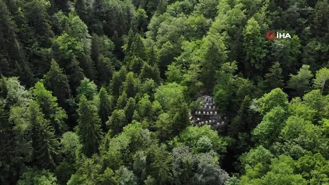 Asırlardır kayalar üzerinde bal üretiyorlarKayalar üzerine zor şartlarda ulaşarak yerleştirilen kovanlarda arıların ürettiği nadide ballar ilaç...