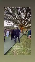 Imagens do casamento de Otávio