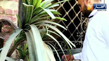 إقتصاد: هشام لحرش..بعد مسار مهني عالمي في صناعة الشوكولاطة..الإستثمار في الجزائر