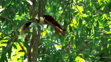 2000 மீ உயரம்.. இமயமே வியக்கும் "தமிழ்நாடு".. இத்தனை சிறப்புகளா! வியக்க வைக்கும் சுவாரசிய தகவல்கள்!