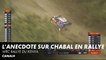 La petite anecdote de Julien Ingrassia sur Chabal - WRC Rallye du Kenya