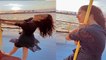 Shehnaz Gill का बीच समंदर में Boat पर pole Dance, video हुआ viral! FilmiBeat*Bollywood