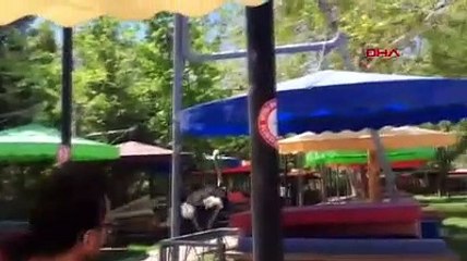 Barınakta tutulan deve kuşu, kafesinden kaçarak bir kadını kovaladı