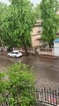 Monsoon Rain : अहमदाबाद में जमकर बरसे मेघ