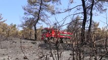 Son dakika haberleri... Marmaris'teki orman yangınında görev alan 