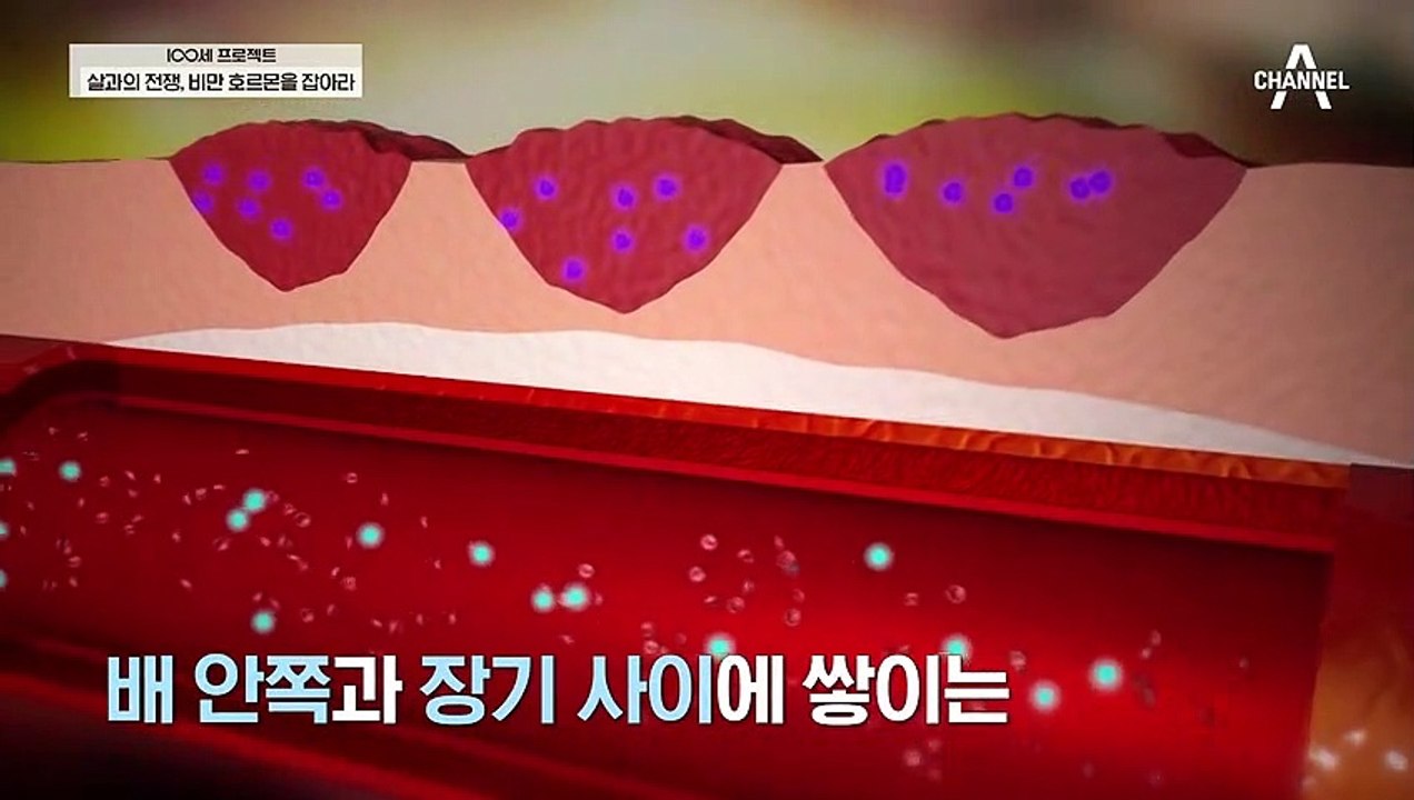 우리나라 성인 10명 중 3명은 비만! 비만은 건강에 직접적인 악영향을 끼친다?