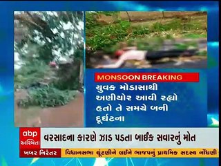 અરવલ્લી: માલપુરના અણીયોર પાસે ઝાડ પડતા યુવકનું મોત