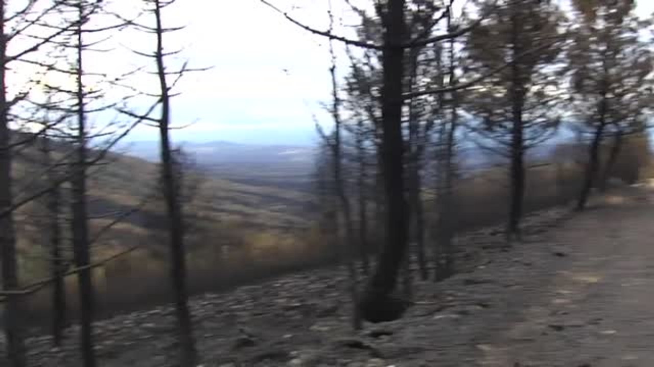 Ola de solidaridad sin precedentes para salvar la ganadería y la fauna de la Sierra de la Culebra