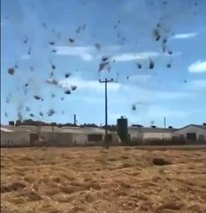 Bandırma'da hortum paniği