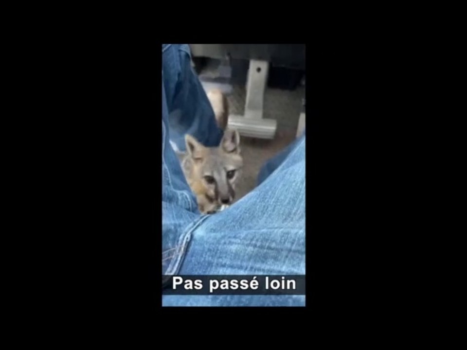 Best of the web 2022- Best Web Zapping