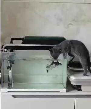 Что вы тут показываете