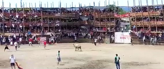 Télécharger la video: Al menos 4 muertos y decenas de heridos por derrumbe en plaza de toros en colombia