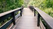 Full Walking Tour of Orchid Park (Coral Springs, Florida) - Virtual Tour of Boardwalk through the woods