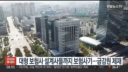 대형 보험사 설계사들까지 보험사기…금감원 제재