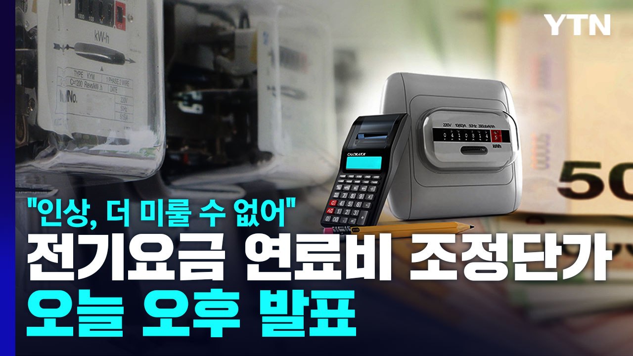 3분기 전기 요금 연료비 조정 단가 오늘 오후 발표 / YTN