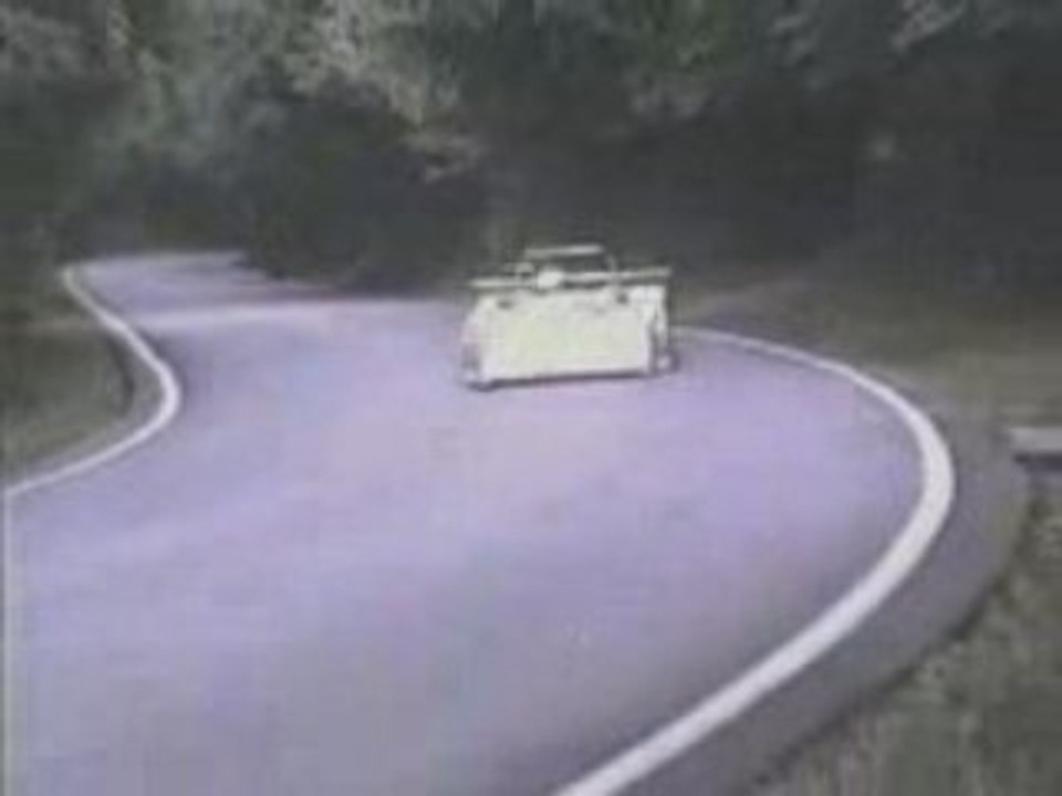voiture chevreuil