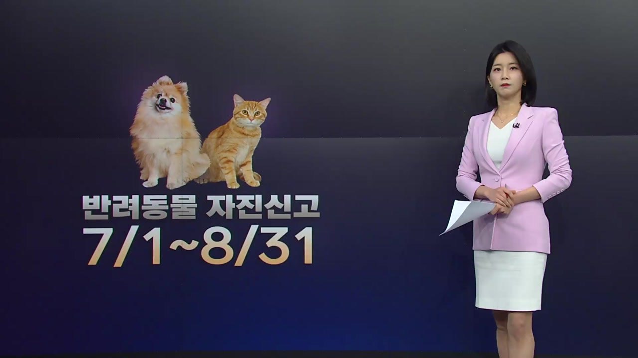 [더뉴스] 반려동물 8월까지 자진신고...보유세 도입은 '신중' 모드 / YTN