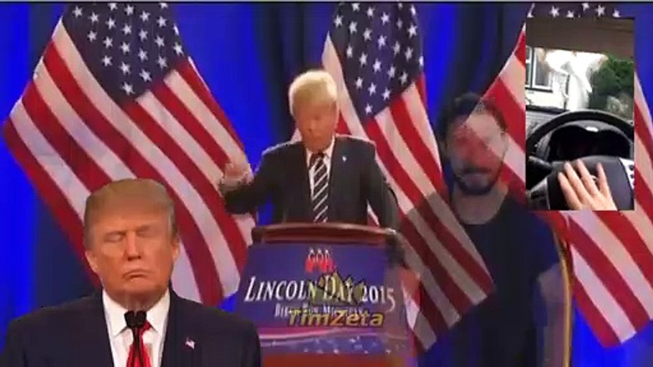 Bing-Moth to a Bong-Flame (Moth to a Flame Meme Cover)