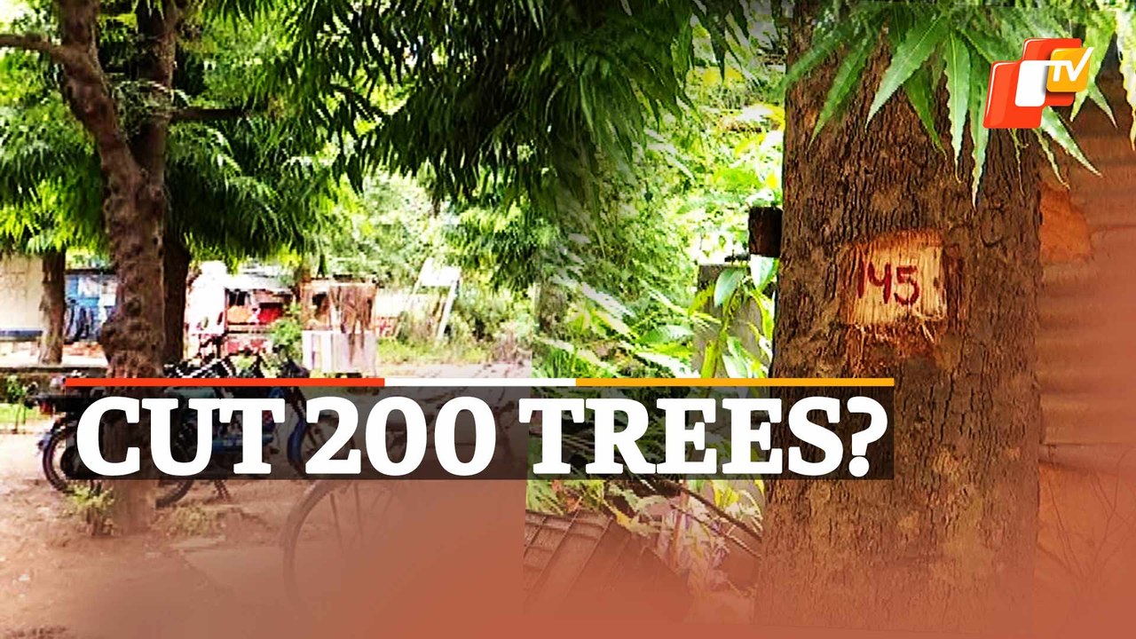 Bhubaneswar: Trees Marked For Felling, Permission Sought From Environment Dept Amid Protest