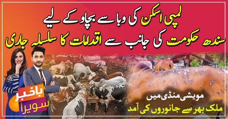 Check post has been set up at Super High M9 for medical examination of animals