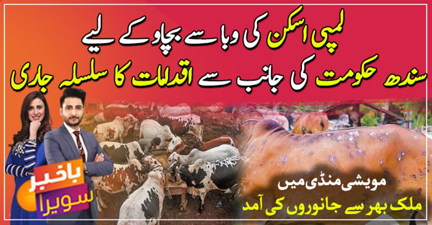 Check post has been set up at Super High M9 for medical examination of animals