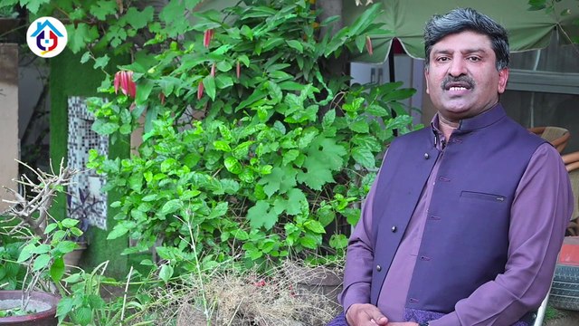 Commercial Pair Plots | Rafi Block | Commercial Shop | Hub Commercial | Advice Associates