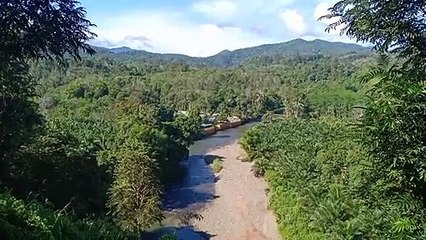 Hutan Kalimantan || Loksado Hulu Sungai Selatan