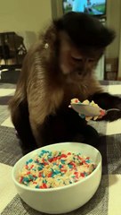 Current situation ‍♀️