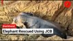 Govt Officials Rescue Elephant From A Ditch With The Help Of JCB In Jharkhand