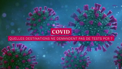 Covid : quelles destinations ne demandent pas de tests PCR pour voyager ?