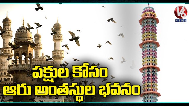 Pinjara Pol Goshala Builds 6-Storey Building To House Birds _ V6 News