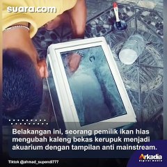 Kreatif Tanpa Batas! Pemilik Ikan Hias Ubah Kaleng Kerupuk Jadi Akuarium Unik