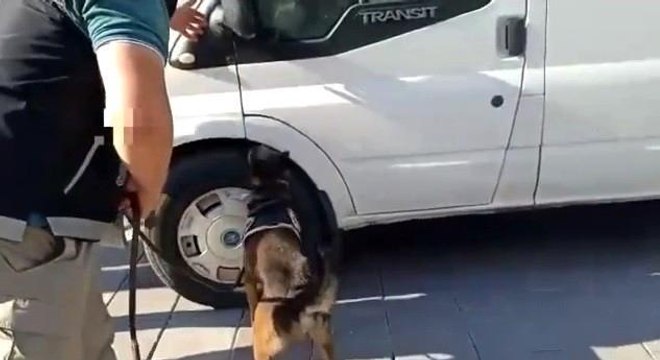 Bakan Soylu özellikle tebrik etmişti: İzmir'de 280 binin üzerinde hap ele geçirildi
