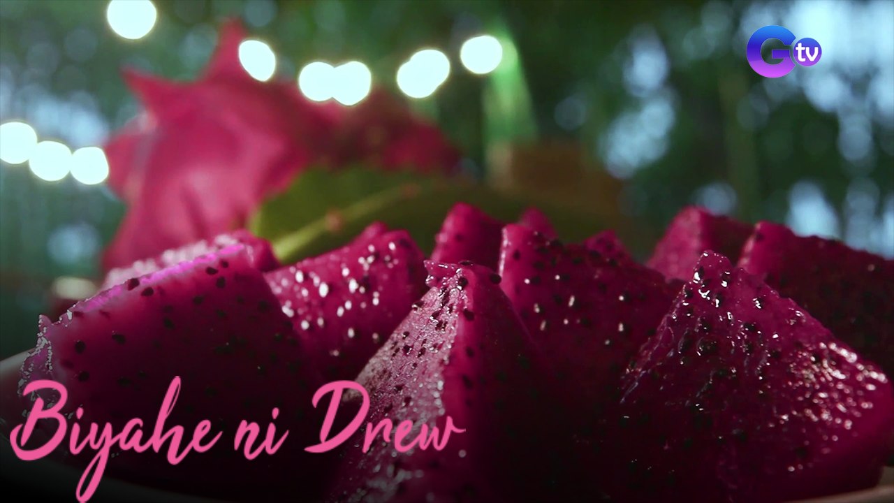 Halos six hectares na dragon fruit farm sa Bulacan, bisitahin! | Biyahe ni Drew