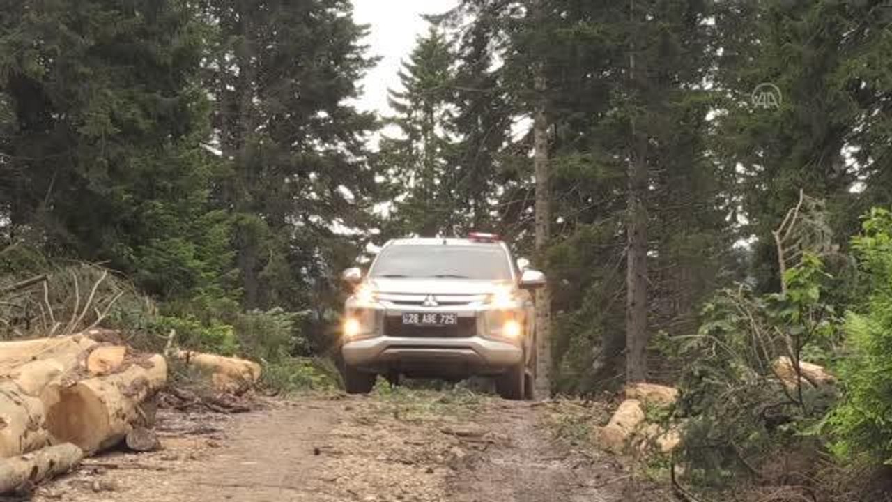 Çocukluğundan beri sevgi beslediği ormanlara gözü gibi bakıyor