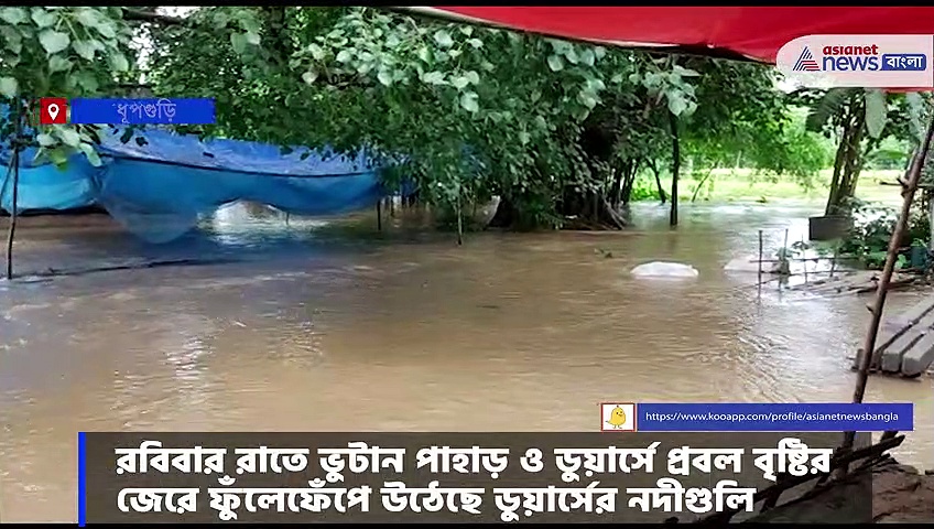    ফের ডুডুয়া নদীর জলে প্লাবিত হল ধূপগুড়ির বিস্তীর্ণ এলাকা 