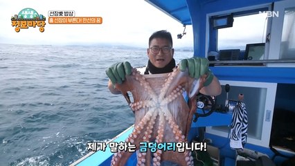 홍선장님이 잡아올린 바다의 보물 참문어! 48kg대왕 문어가 있다?