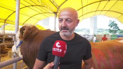 Pazara Kurbanlık Getiren Besici Maliyetlerden Şikayetçi: "Böyle Giderse Kendi Kabuğumuza Çekileceğiz, Besicilik Yapmayacağız"