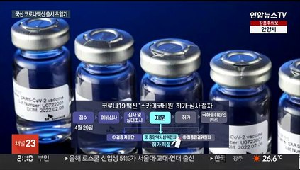 "AZ보다 나아"…토종 코로나 백신 주내 허가 예상